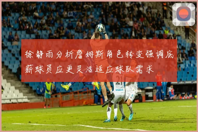 徐静雨分析詹姆斯角色转变强调底薪球员应更灵活适应球队需求
