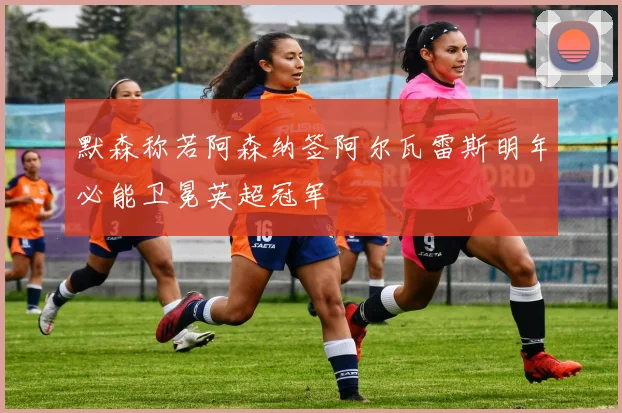 默森称若阿森纳签阿尔瓦雷斯明年必能卫冕英超冠军