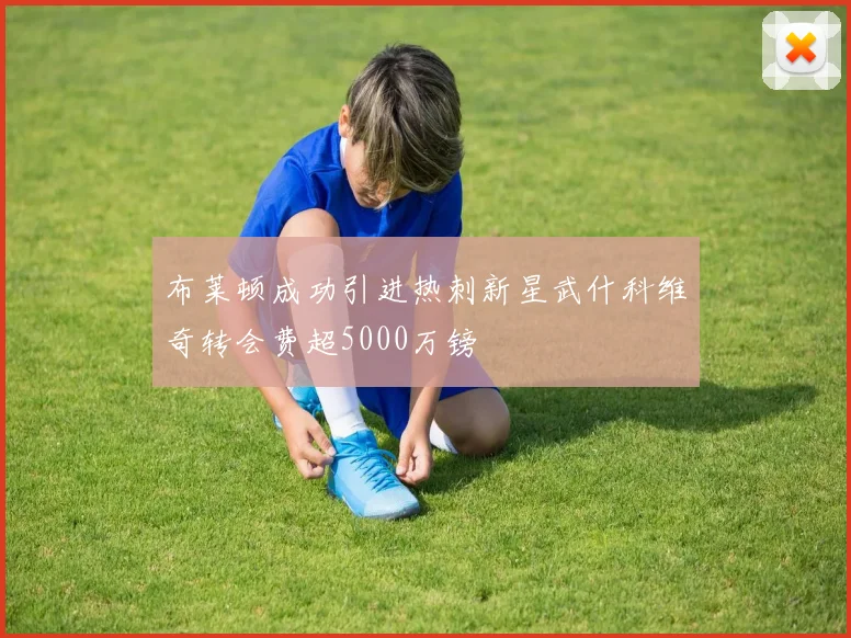 布莱顿成功引进热刺新星武什科维奇转会费超5000万镑