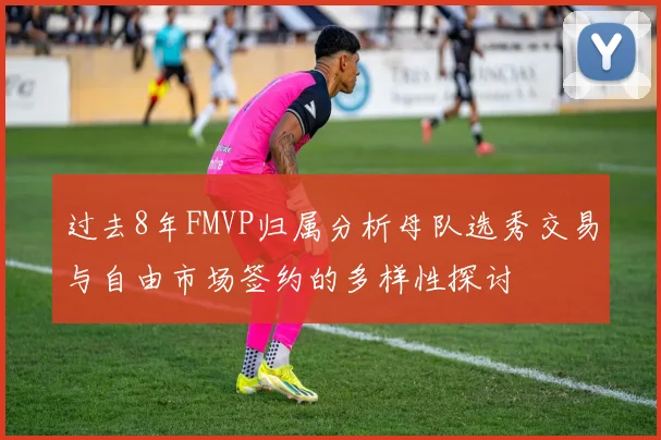 过去8年FMVP归属分析母队选秀交易与自由市场签约的多样性探讨