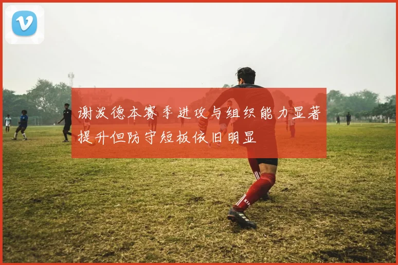 谢泼德本赛季进攻与组织能力显著提升但防守短板依旧明显